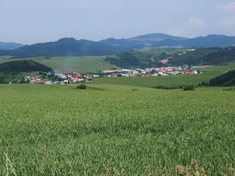 Орябина